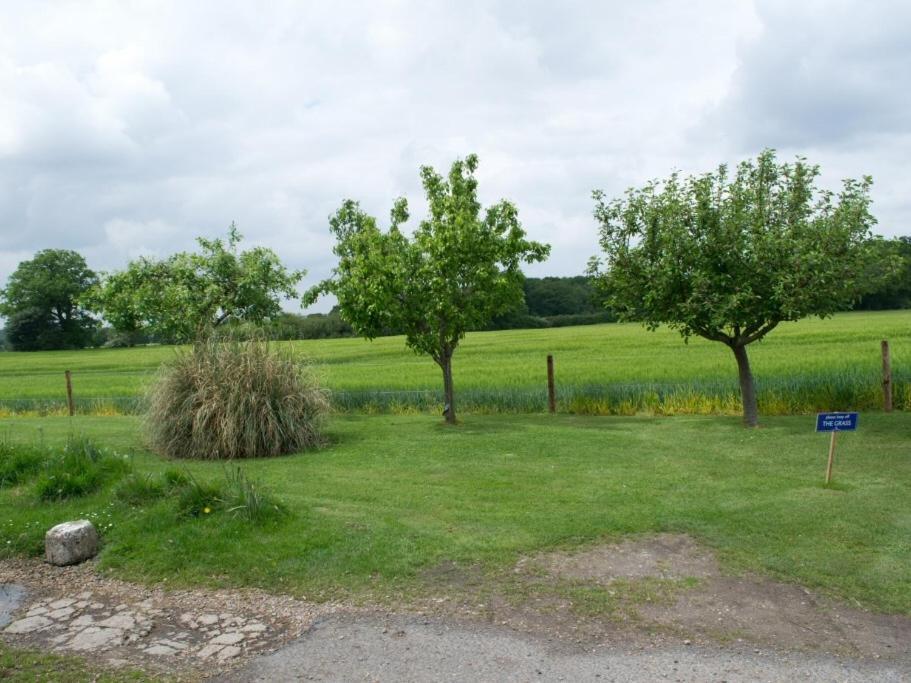 Woodview B Colchester Birch ภายนอก รูปภาพ